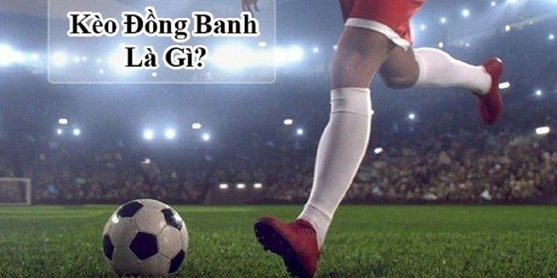 Tổng quan về dạng cược đồng banh trong bóng đá