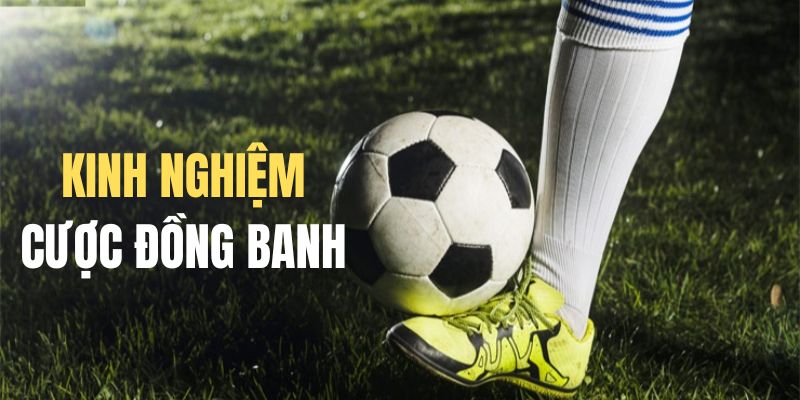 Kinh nghiệm đầu tư kèo đồng banh hay nhất